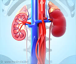 kidney disease prevention in navi mumbai india